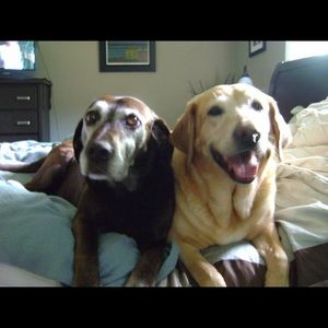 Meet your Posher, Brenda